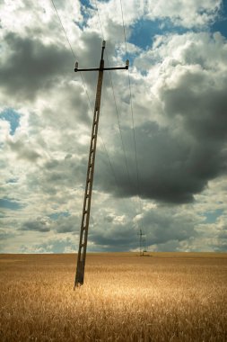 Polonya, Staw 'da bir tahıl tarlasında duran eğri bir elektrik direği.