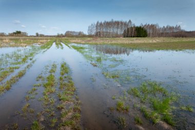 Sel basmış toprak yol ve kırsal alanlar bir bahar günü, Zarzecze, Polonya