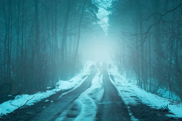 Estrada Coberta Neve Através Uma Floresta Nebulosa Escura Nowiny Polônia — Fotografia de Stock