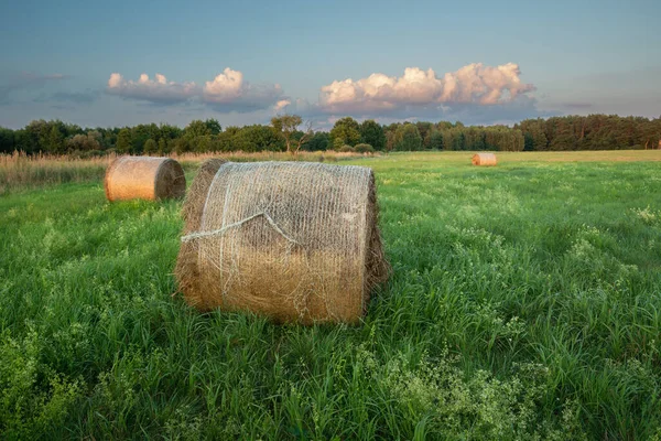 緑の牧草地 夏の夜の田園風景の上に横たわる干し草の丸い玉 — ストック写真