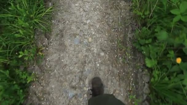 一个人在一条满是水的森林路上走着 他的腿和鞋子的景象 免版税图库视频片段