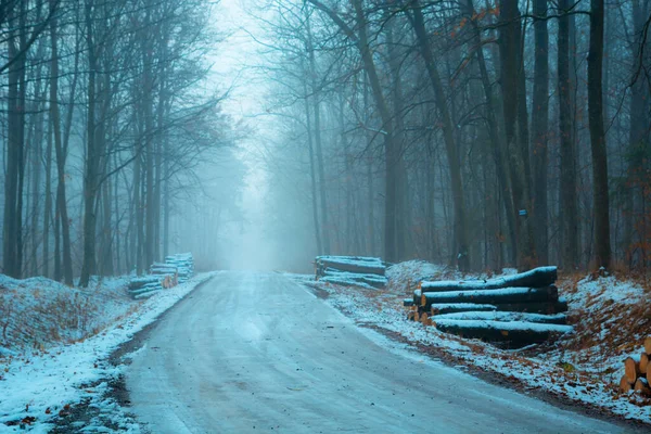 Route Glacée Dans Forêt Brumeuse Vue Sur Jour Décembre Est — Photo