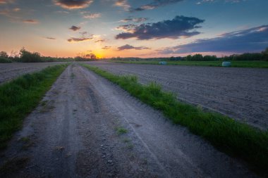 Kırsal yol tarlalardan ve günbatımından geçiyor, Nowiny, Lubelskie, Polonya