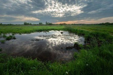 Polonya, Nowiny 'deki çayır sularındaki akşam bulutlarının yansıması.