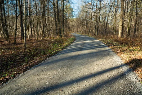 stock image Shadows of trees on a gravel road in the autumnal forest