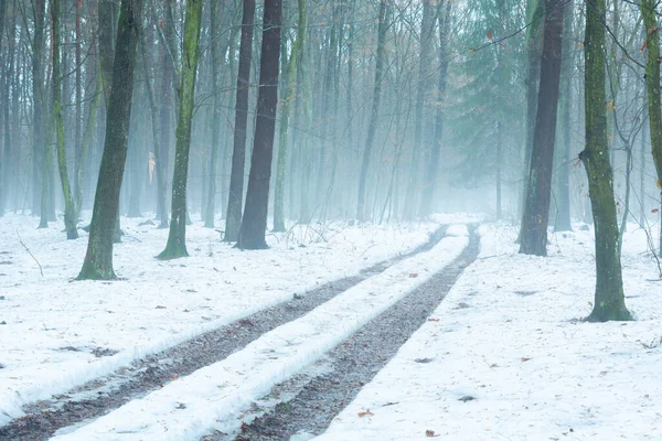 Chemin Terre Travers Hiver Enneigé Forêt Brumeuse Jour Décembre Pologne — Photo