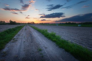 Toprak yol ve akşam gökyüzü olan tarlalar, ilkbahar günü manzara, Nowiny, Polonya