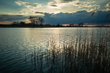 Sazlıklarla dolu sakin bir göl üzerinde akşam bulutları, Nisan manzarası
