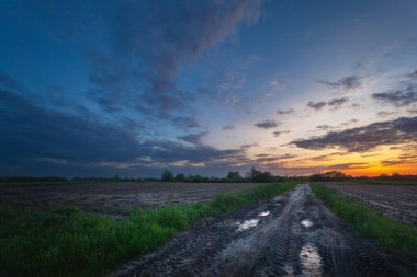 Çamurlu toprak yol tarlalarda ve gün batımında gökyüzünde, Mayıs günü