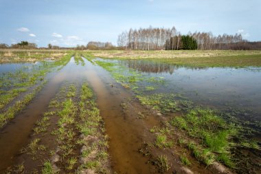 Su basmış toprak yol ve tarlalar, Nisan günü, Zarzecze, Polonya