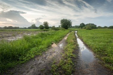 Toprak yolda ve yağmurdan sonra kırlarda su birikintisi, Nowiny, Lubelskie, Polonya