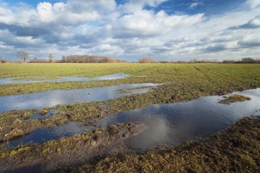 Kırsal alanda su ve gökyüzünde bulutlar, doğu Polonya