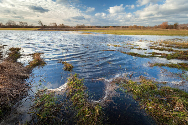Water in a flooded meadow after heavy rainfall, Nowiny, eastern Poland