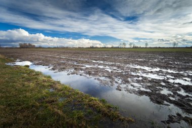 Nowiny, Lublin Voyvoda, Polonya 'da Kardan Sonra Sel Altındaki Çiftlik Alanı, Şubat Kırsal Arazi