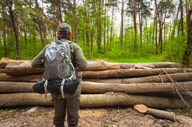 Sırt çantalı bir adam kesilen odunların önündeki yeşil ormanda duruyor..