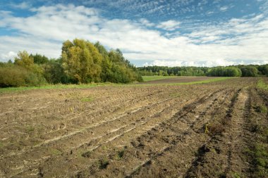 Yeşil ormanın önünde sürülmüş bir tarla