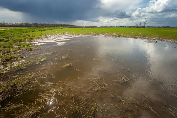 Kırsal alanda su ve gökyüzünde yağmur, ilkbahar günü, Czulczyce, doğu Polonya