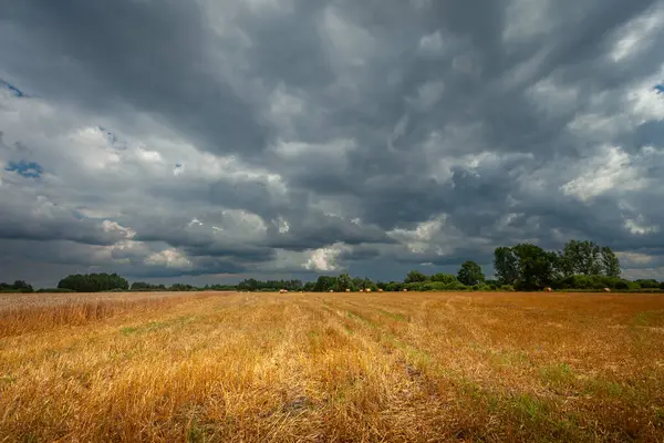 Polonya 'nın doğusundaki kırsal bir tarlada kara fırtına bulutları