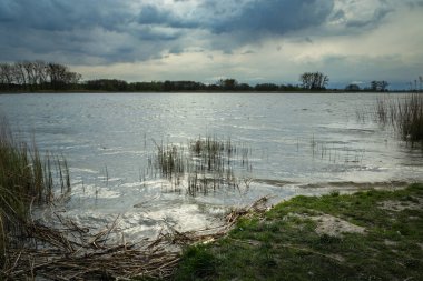 Küçük bir gölün kıyısı ve gökyüzünde kara bulutlar, bahar akşamı
