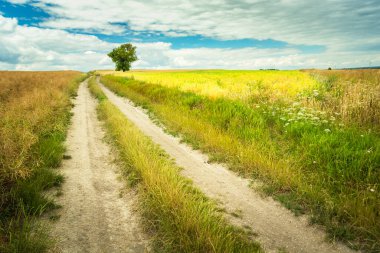 Ufukta yalnız bir ağaç ve yaz günü gökyüzünde bulutlar olan tahıl tarlasından geçen toprak bir yol görünüyor.