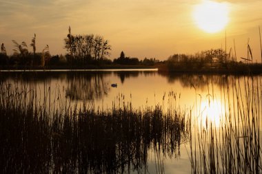 Gölün üzerinde günbatımının parıltısı Sazlıklarla, Stankow, Polonya