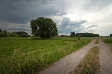 Polonya 'nın doğusunda, bir çayırda, bir ağaç ve toprak bir yol üzerinde kara fırtına bulutları.