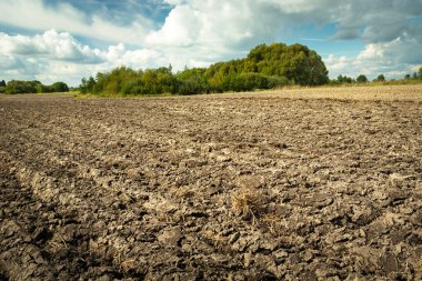 Kırsal alanda tarla sürdüm ve gökyüzünde bulutlar vardı, yaz günü.