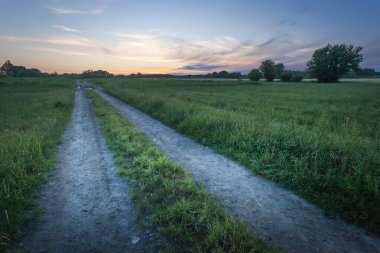 Yeşil bir çayırdaki toprak yoldan gün batımına, bahar akşamına kadar.