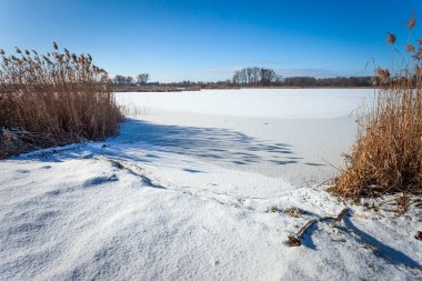 Güneşli bir kış gününde donmuş ve karla kaplı bir gölün kıyılarından manzara, Stankow, doğu Polonya