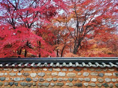 Sessiz dağ tapınağının çitlerinin üzerinde sonbahar yaprakları