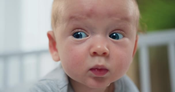 Lindo Niño Sonriente Primer Plano Del Retrato Hermoso Bebé Encuentra — Vídeo de stock