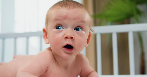 stock image Close Up. Beautiful blue eyed infant baby portrait lies on his stomach on the couch playing and looking at the camera.