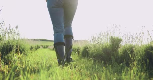 Bauer Gummistiefeln Draußen Auf Dem Feld Arbeitende Agronomen Wandeln Auf — Stockvideo