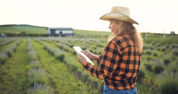 女性の農夫が立ってタブレットを手に持って畑での収穫をチェックした 農業ビジネスの現代技術 生産の自然なエコ健康 小規模ファミリービジネスコンセプト — ストック動画