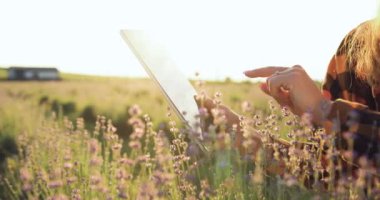 Kadın ellerini bilgisayar tabletiyle kapat lavanta tarlasındaki buğday hasadını değerlendir. Modern tarımın teknolojisi. Dijital tabletle buğday tarlasında çalışan çiftçi kadın. Küçük aile şirketi