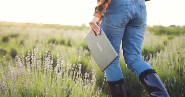 Frauenhände Großaufnahme Mit Laptop Ernte Landwirtschaftlicher Erzeugnisse Landwirt Mit Laptop — Stockvideo