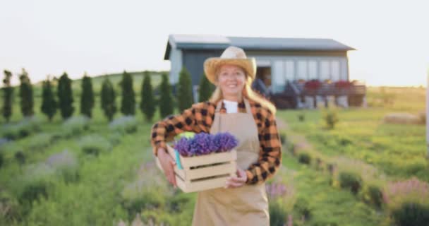 Glücklich Lächelnd Hält Die Blonde Gärtnerin Eine Holzkiste Mit Lavendelsprossen — Stockvideo