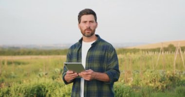 Bilgisayar tabletinde çalışan çiftçi gün batımında tarlada yeşil buğday filizlerini değerlendiriyor. Modern tarım teknolojisi, tarlada dijital tabletle çalışan çiftçi. Yavaş çekim.
