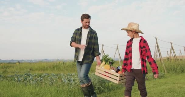 儿子男孩帮助农夫父亲男人在蔬菜地里干活 小型家族企业概念 孩子和父母在田里散步 积极的生活方式 面带微笑 慢一点 — 图库视频影像