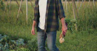 Genç çocuk sahada yürüyor ve sepetten sağlıklı yetişmiş yiyecekler alıyor ve onları zevkle kontrol ediyor. Doğal sağlıklı yiyecekler. Sebze hasadı. Tarım gıda endüstrisi kavramı.