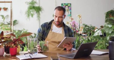 Önlüklü yakışıklı bahçıvan kendi çiçekçisinin masasında tablet tıkırdatıyor. Çiçekçi bahçe sahibi işi. Çiçekçilik ve modern teknoloji konsepti. Yavaş çekim.