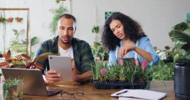 Mutlu Afro-Amerikan erkek ve kadın çiçekçilerin portresi çiçekçide dijital tablet kullanarak çalışan ve konuşan çiçekçiler. İnsanlar ve iş kavramı. Yavaş çekim.