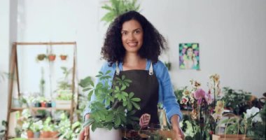 Önlüklü Afro-Amerikan kadın portresi modern çiçekçi dükkanında elinde saksı bitkisi kameraya bakıp gülümsüyor. İnsanlar ve iş kavramı. Yavaş çekim.