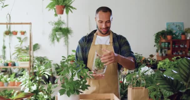 Twee Professionele Bloemisten Man Vrouw Werkzaam Bij Planten Bloemenwinkels Teamwork — Stockvideo
