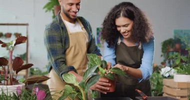 Uzman çift Afro-Amerikan erkek ve kadın karı koca birlikte çiçek dikiyorlar ev bitkilerinin çiçekçisinde çalışıyorlar. Aile işi ve girişimci kavramı. Yavaş çekim.