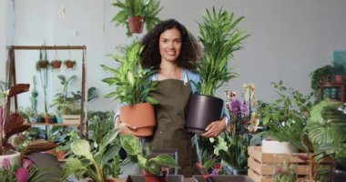 Bir serada gülümseyen ve kameraya bakan iki ev bitkisini tutan genç bir iş adamının portresi. Çiçekçide, çiçekçide çalışan bahçıvan. İş, insan ve ev bitkileri kavramı