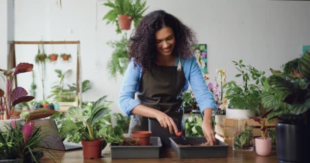 Γυναίκα Κηπουρός Μεταφύτευση Φυτό Σπίτι Στο Θερμοκήπιο Γυναίκα Φροντίζει Φυτά — Αρχείο Βίντεο