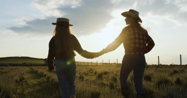 戴着帽子手牵手走在田野里 在日落的时候在大自然的轮廓中 女孩用手抱着孩子 积极的生活方式概念 快乐的家庭观念 慢动作 — 图库视频影像
