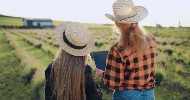 Anya Lánya Farmon Dolgoznak Két Farmer Lány Használja Tabletta Számítógép — Stock videók