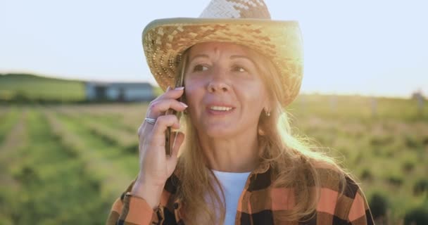 Бізнес Леді Розмовляють Телефону Біля Пшеничного Поля Портрет Сучасної Жінки — стокове відео